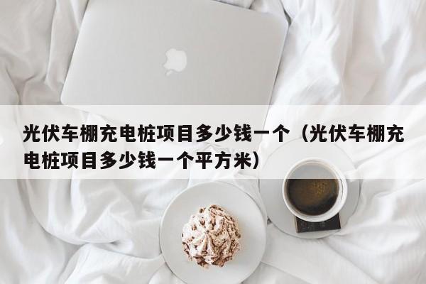 光伏车棚充电桩项目多少钱一个（光伏车棚充电桩项目多少钱一个平方米）