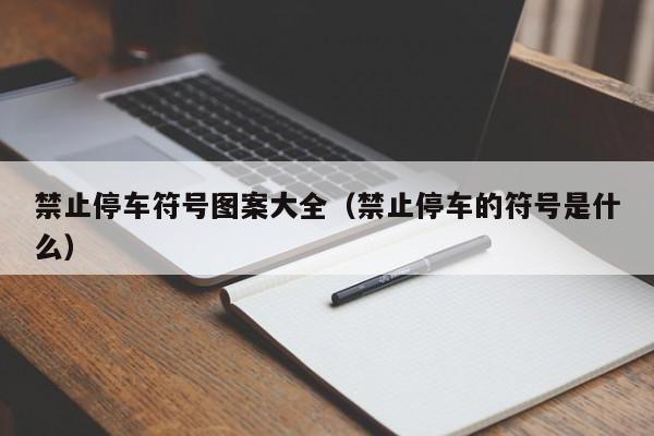 禁止停车符号图案大全（禁止停车的符号是什么）